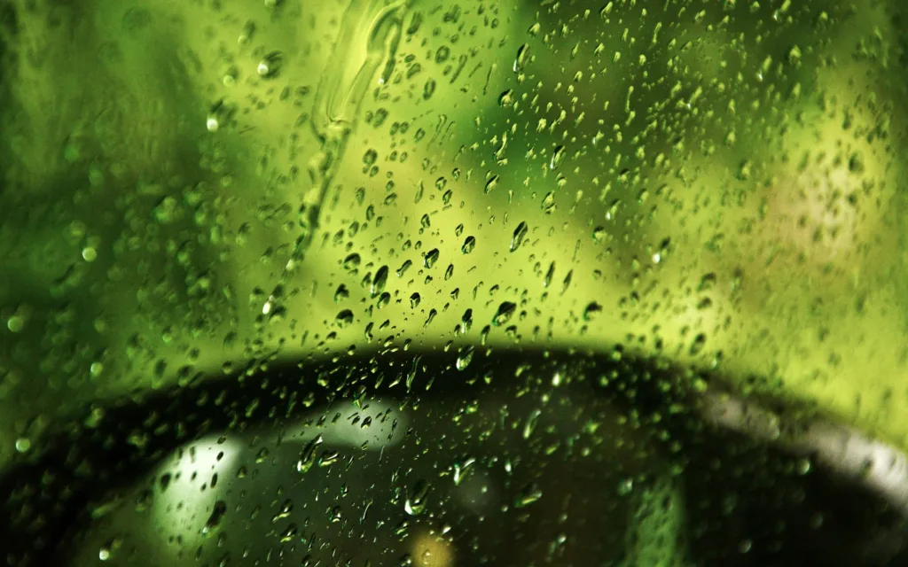 Rain Drops