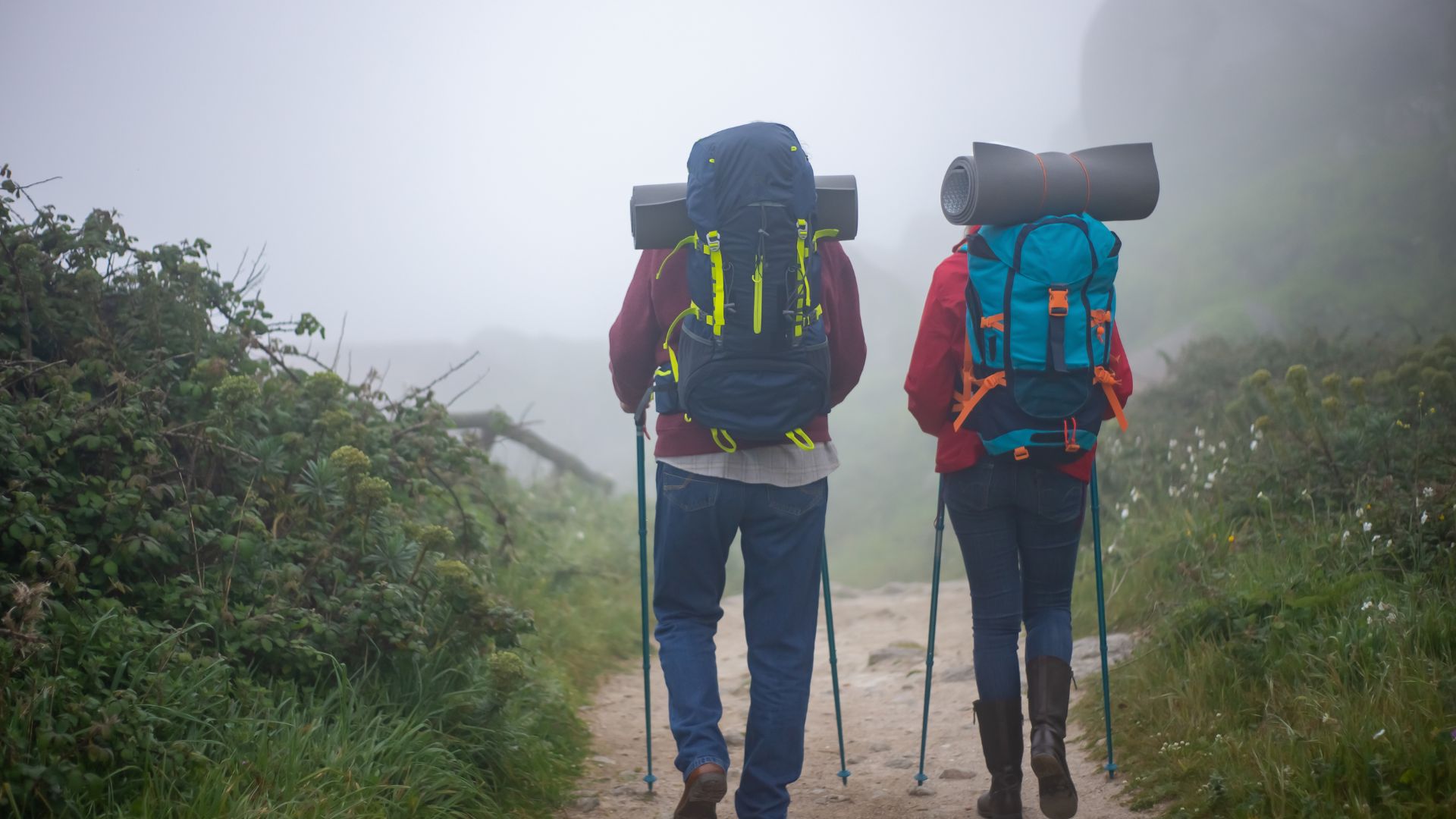 igatpuri winter trekking